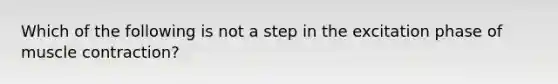 Which of the following is not a step in the excitation phase of muscle contraction?