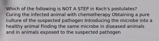 Which of the following is NOT A STEP in Koch's postulates? Curing the infected animal with chemotherapy Obtaining a pure culture of the suspected pathogen Introducing the microbe into a healthy animal Finding the same microbe in diseased animals and in animals exposed to the suspected pathogen