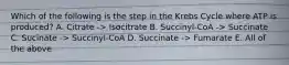 Which of the following is the step in the Krebs Cycle where ATP is produced? A. Citrate -> Isocitrate B. Succinyl-CoA -> Succinate C. Sucinate -> Succinyl-CoA D. Succinate -> Fumarate E. All of the above