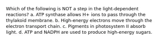 Which of the following is NOT a step in the light-dependent reactions? a. ATP synthase allows H+ ions to pass through the thylakoid membrane. b. High-energy electrons move through the electron transport chain. c. Pigments in photosystem II absorb light. d. ATP and NADPH are used to produce high-energy sugars.