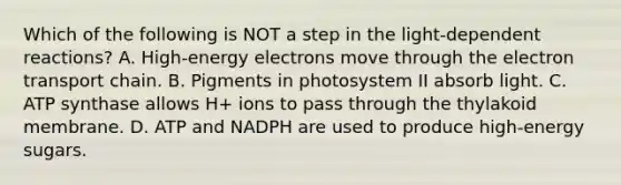 Which of the following is NOT a step in the light-dependent reactions? A. High-energy electrons move through the electron transport chain. B. Pigments in photosystem II absorb light. C. ATP synthase allows H+ ions to pass through the thylakoid membrane. D. ATP and NADPH are used to produce high-energy sugars.