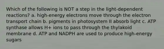 Which of the following is NOT a step in the light-dependent reactions? a. high-energy electrons move through the electron transport chain b. pigments in photosystem II absorb light c. ATP synthase allows H+ ions to pass through the thylakoid membrane d. ATP and NADPH are used to produce high-energy sugars