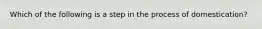 Which of the following is a step in the process of domestication?