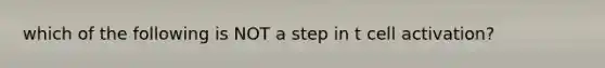 which of the following is NOT a step in t cell activation?