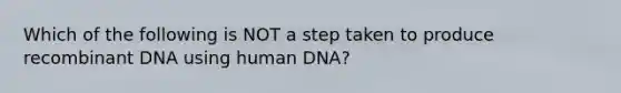 Which of the following is NOT a step taken to produce recombinant DNA using human DNA?