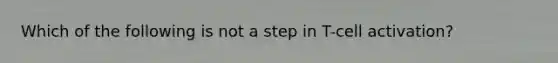 Which of the following is not a step in T-cell activation?