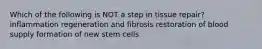 Which of the following is NOT a step in tissue repair? inflammation regeneration and fibrosis restoration of blood supply formation of new stem cells