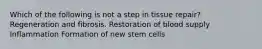 Which of the following is not a step in tissue repair? Regeneration and fibrosis. Restoration of blood supply Inflammation Formation of new stem cells