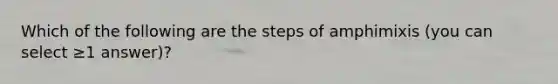 Which of the following are the steps of amphimixis (you can select ≥1 answer)?