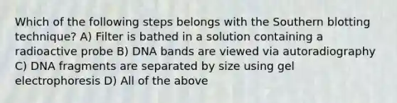 Which of the following steps belongs with the Southern blotting technique? A) Filter is bathed in a solution containing a radioactive probe B) DNA bands are viewed via autoradiography C) DNA fragments are separated by size using gel electrophoresis D) All of the above