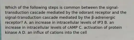 Which of the following steps is common between the signal-transduction cascade mediated by the odorant receptor and the signal-transduction cascade mediated by the β-adrenergic receptor? A. an increase in intracellular levels of IP3 B. an increase in intracellular levels of cAMP C. activation of protein kinase A D. an influx of cations into the cell