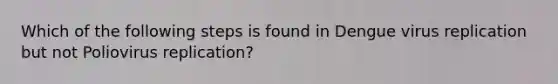 Which of the following steps is found in Dengue virus replication but not Poliovirus replication?