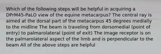 Which of the following steps will be helpful in acquiring a DPrM45-PaLO view of the equine metacarpus? The central ray is aimed at the dorsal part of the metacarpus 45 degrees medially to the midline The beam is traveling from dorsomedial (point of entry) to palmarolateral (point of exit) The image receptor is on the palmarolateral aspect of the limb and is perpendicular to the beam All of the above steps are helpful