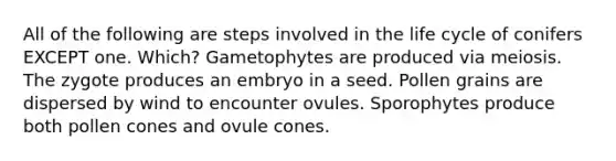 All of the following are steps involved in the life cycle of conifers EXCEPT one. Which? Gametophytes are produced via meiosis. The zygote produces an embryo in a seed. Pollen grains are dispersed by wind to encounter ovules. Sporophytes produce both pollen cones and ovule cones.