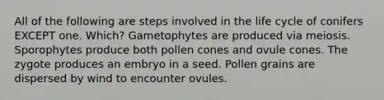 All of the following are steps involved in the life cycle of conifers EXCEPT one. Which? Gametophytes are produced via meiosis. Sporophytes produce both pollen cones and ovule cones. The zygote produces an embryo in a seed. Pollen grains are dispersed by wind to encounter ovules.