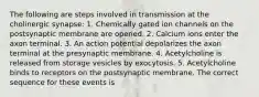 The following are steps involved in transmission at the cholinergic synapse: 1. Chemically gated ion channels on the postsynaptic membrane are opened. 2. Calcium ions enter the axon terminal. 3. An action potential depolarizes the axon terminal at the presynaptic membrane. 4. Acetylcholine is released from storage vesicles by exocytosis. 5. Acetylcholine binds to receptors on the postsynaptic membrane. The correct sequence for these events is