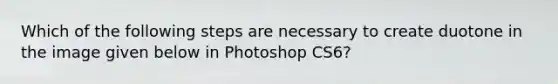 Which of the following steps are necessary to create duotone in the image given below in Photoshop CS6?