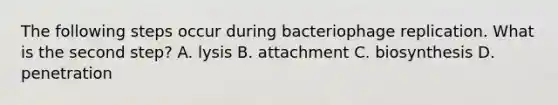 The following steps occur during bacteriophage replication. What is the second step? A. lysis B. attachment C. biosynthesis D. penetration