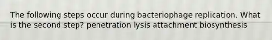 The following steps occur during bacteriophage replication. What is the second step? penetration lysis attachment biosynthesis