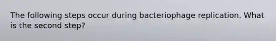 The following steps occur during bacteriophage replication. What is the second step?