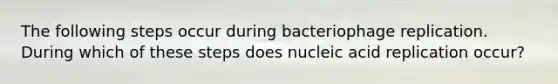 The following steps occur during bacteriophage replication. During which of these steps does nucleic acid replication occur?