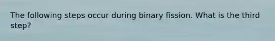 The following steps occur during binary fission. What is the third step?