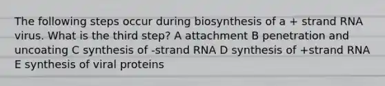 The following steps occur during biosynthesis of a + strand RNA virus. What is the third step? A attachment B penetration and uncoating C synthesis of -strand RNA D synthesis of +strand RNA E synthesis of viral proteins