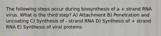 The following steps occur during biosynthesis of a + strand RNA virus. What is the third step? A) Attachment B) Penetration and uncoating C) Synthesis of - strand RNA D) Synthesis of + strand RNA E) Synthesis of viral proteins