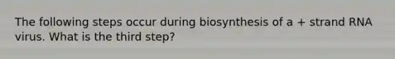 The following steps occur during biosynthesis of a + strand RNA virus. What is the third step?