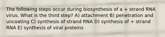 The following steps occur during biosynthesis of a + strand RNA virus. What is the third step? A) attachment B) penetration and uncoating C) synthesis of strand RNA D) synthesis of + strand RNA E) synthesis of viral proteins