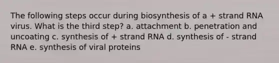 The following steps occur during biosynthesis of a + strand RNA virus. What is the third step? a. attachment b. penetration and uncoating c. synthesis of + strand RNA d. synthesis of - strand RNA e. synthesis of viral proteins