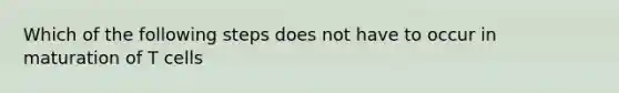 Which of the following steps does not have to occur in maturation of T cells