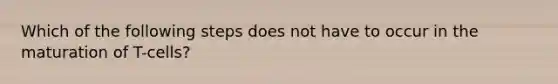 Which of the following steps does not have to occur in the maturation of T-cells?