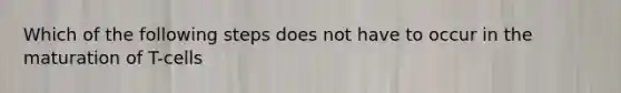 Which of the following steps does not have to occur in the maturation of T-cells