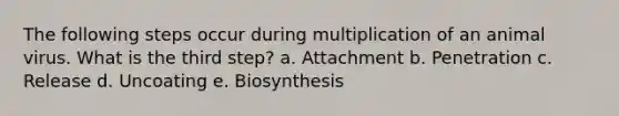 The following steps occur during multiplication of an animal virus. What is the third step? a. Attachment b. Penetration c. Release d. Uncoating e. Biosynthesis