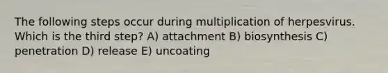 The following steps occur during multiplication of herpesvirus. Which is the third step? A) attachment B) biosynthesis C) penetration D) release E) uncoating