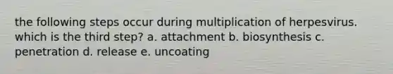 the following steps occur during multiplication of herpesvirus. which is the third step? a. attachment b. biosynthesis c. penetration d. release e. uncoating