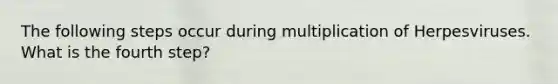 The following steps occur during multiplication of Herpesviruses. What is the fourth step?