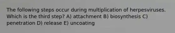 The following steps occur during multiplication of herpesviruses. Which is the third step? A) attachment B) biosynthesis C) penetration D) release E) uncoating