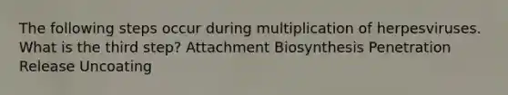 The following steps occur during multiplication of herpesviruses. What is the third step? Attachment Biosynthesis Penetration Release Uncoating