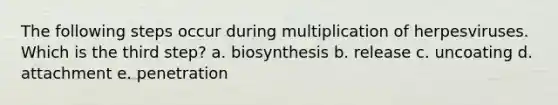 The following steps occur during multiplication of herpesviruses. Which is the third step? a. biosynthesis b. release c. uncoating d. attachment e. penetration