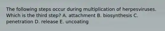 The following steps occur during multiplication of herpesviruses. Which is the third step? A. attachment B. biosynthesis C. penetration D. release E. uncoating