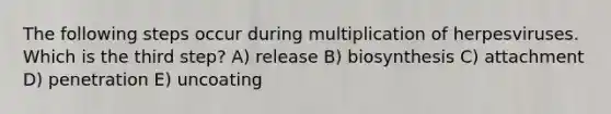 The following steps occur during multiplication of herpesviruses. Which is the third step? A) release B) biosynthesis C) attachment D) penetration E) uncoating