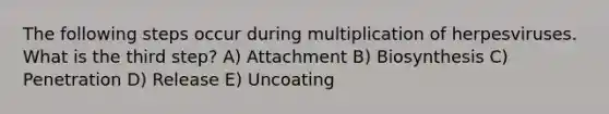 The following steps occur during multiplication of herpesviruses. What is the third step? A) Attachment B) Biosynthesis C) Penetration D) Release E) Uncoating