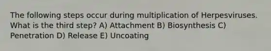 The following steps occur during multiplication of Herpesviruses. What is the third step? A) Attachment B) Biosynthesis C) Penetration D) Release E) Uncoating