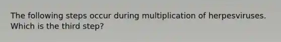 The following steps occur during multiplication of herpesviruses. Which is the third step?