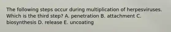 The following steps occur during multiplication of herpesviruses. Which is the third step? A. penetration B. attachment C. biosynthesis D. release E. uncoating