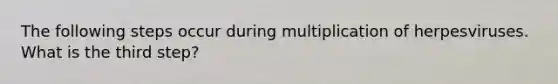 The following steps occur during multiplication of herpesviruses. What is the third step?