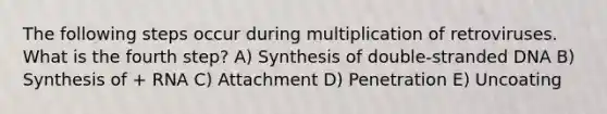 The following steps occur during multiplication of retroviruses. What is the fourth step? A) Synthesis of double-stranded DNA B) Synthesis of + RNA C) Attachment D) Penetration E) Uncoating