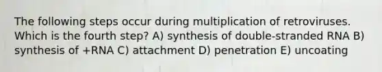 The following steps occur during multiplication of retroviruses. Which is the fourth step? A) synthesis of double-stranded RNA B) synthesis of +RNA C) attachment D) penetration E) uncoating